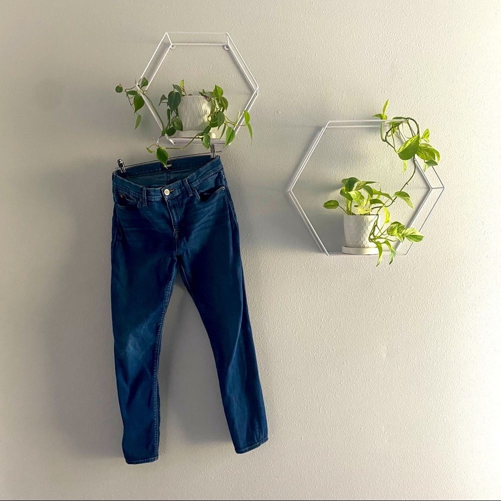 Natalie Super Skinny HUDSON Jeans